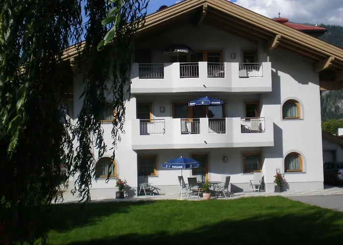 Amsel * مايرهوفن