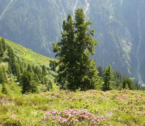 公寓 阿姆泽尔别墅 *