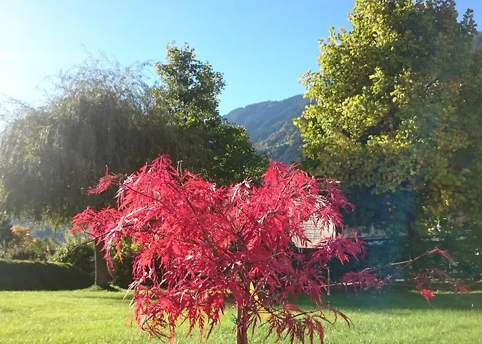 阿姆泽尔别墅 * 迈尔霍芬