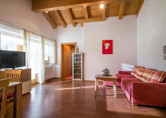 Amsel مايرهوفن